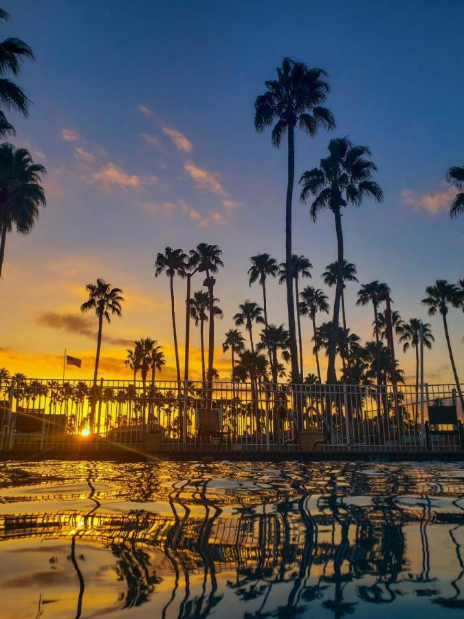 Victoria Palms Inn And Suites Donna 外观 照片