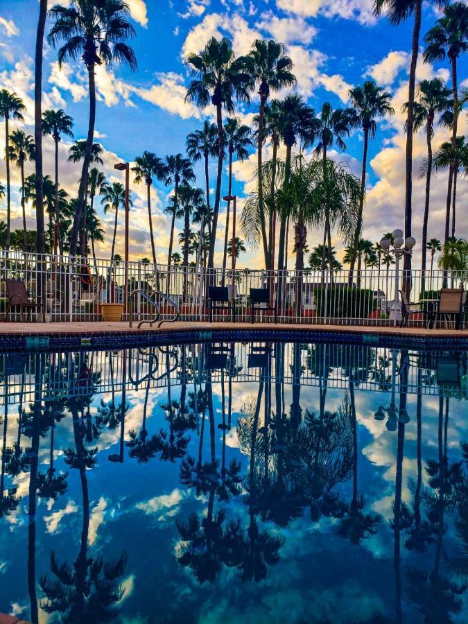 Victoria Palms Inn And Suites Donna 外观 照片