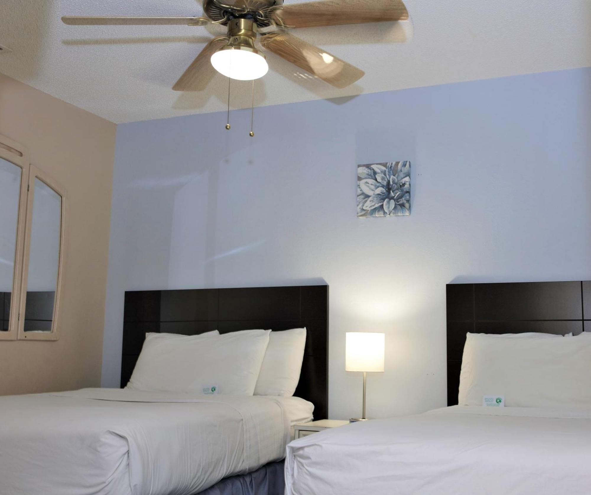 Victoria Palms Inn And Suites Donna 外观 照片